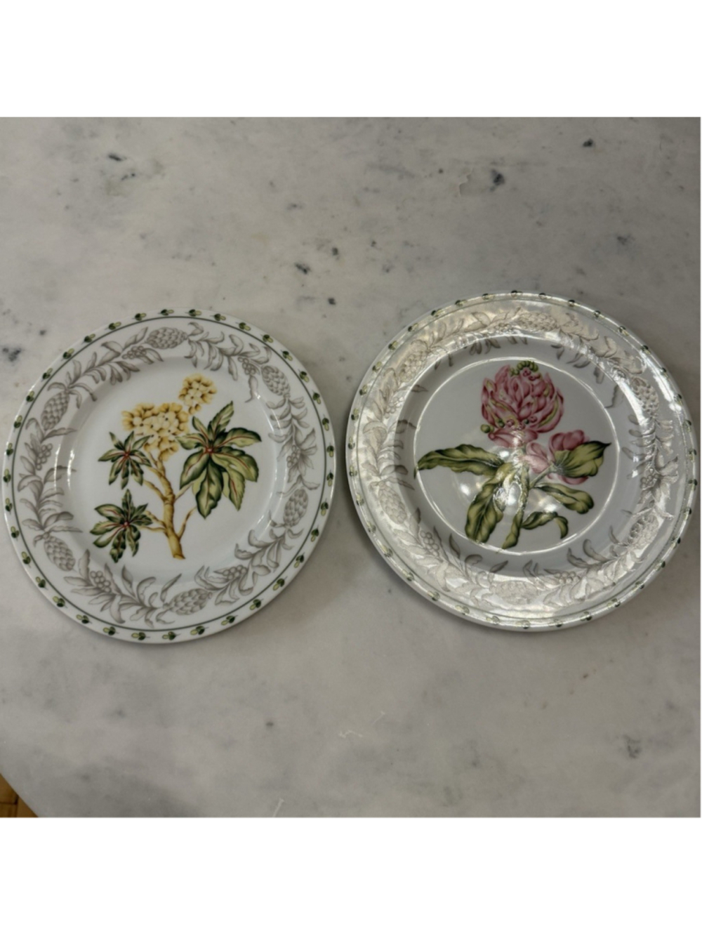 Vintage Pierre Frey Tobago Limoges France Botanical Salad Plates Set of 2